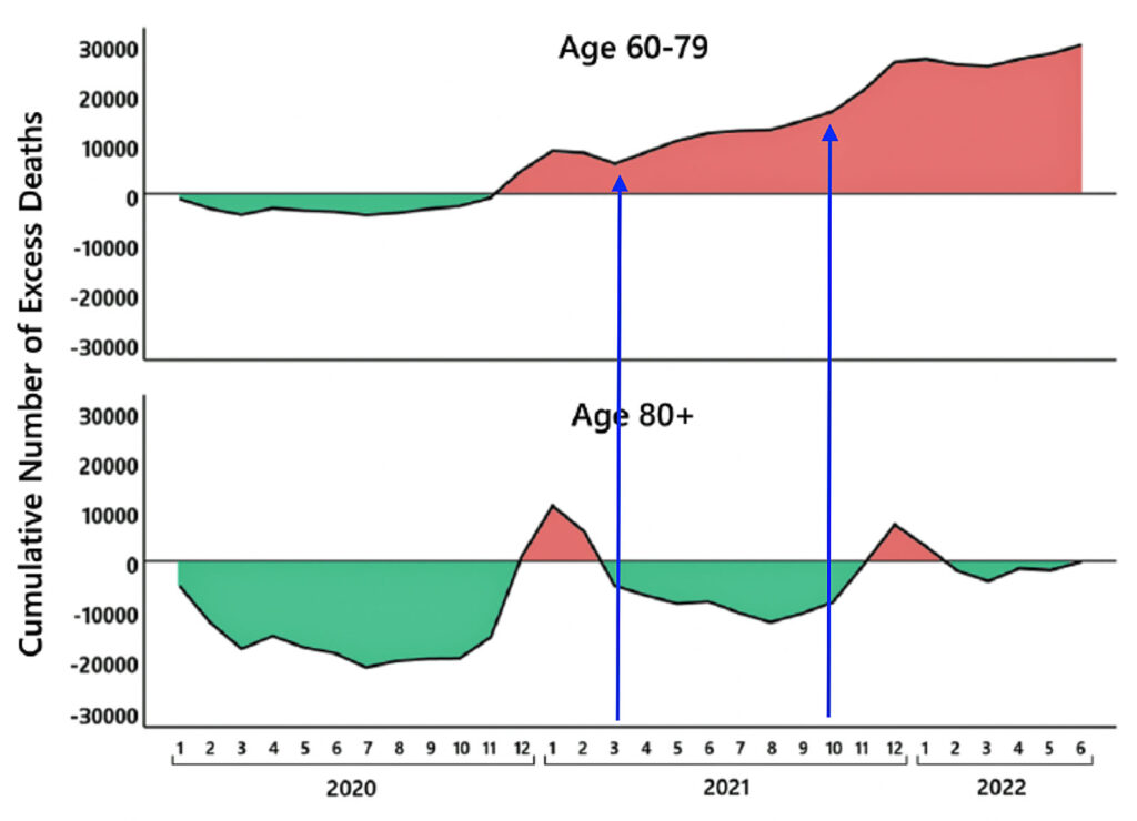 kumulative überzählige Todesfälle