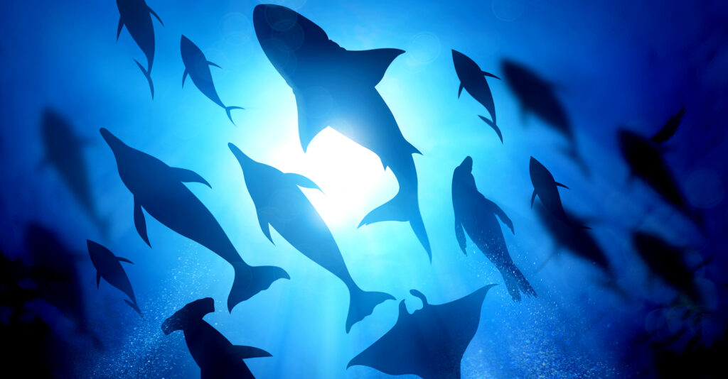 Picture of 90% of Marine Species Face Extinction if Greenhouse Gas Emissions Don’t ...