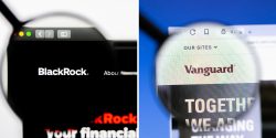 BlackRock: the ‘fourth branch of government’?