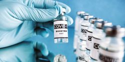 EU drug regulators warned frequent COVID boosters could adversely affect the immune system.