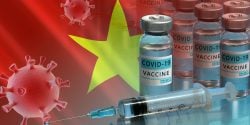 The Vietnamese province of Thanh Hoa suspended a batch of Pfizer-BioNTech’s COVID vaccine after more than 120 teens were hospitalized after being vaccinated.