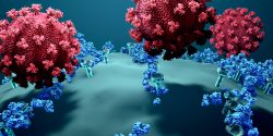 SARS-CoV-2 full-length spike protein weakens the adaptive immune system by damaging a crucial DNA repair mechanism.