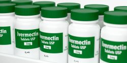 John Campbell, Ph.D., compared ivermectinwith Merck’s new COVID drug, Molnupiravir.