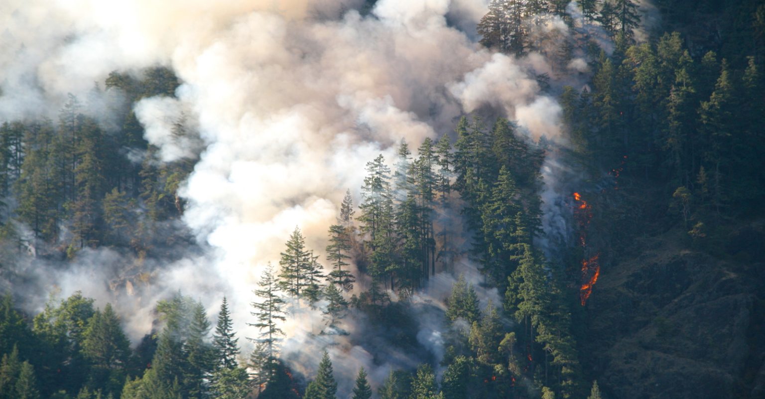 Rock Fire Historic Wildfires Burn Rocky Mountain Forests Like Never Before ...