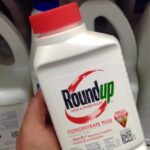 Roundup containers