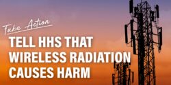 Image of cell towers with the words "Tell HHS that wireless radiation causes harm"