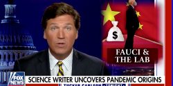 Fox News commentator Tucker Carlson took aim at two (in his words) 'political operatives.'