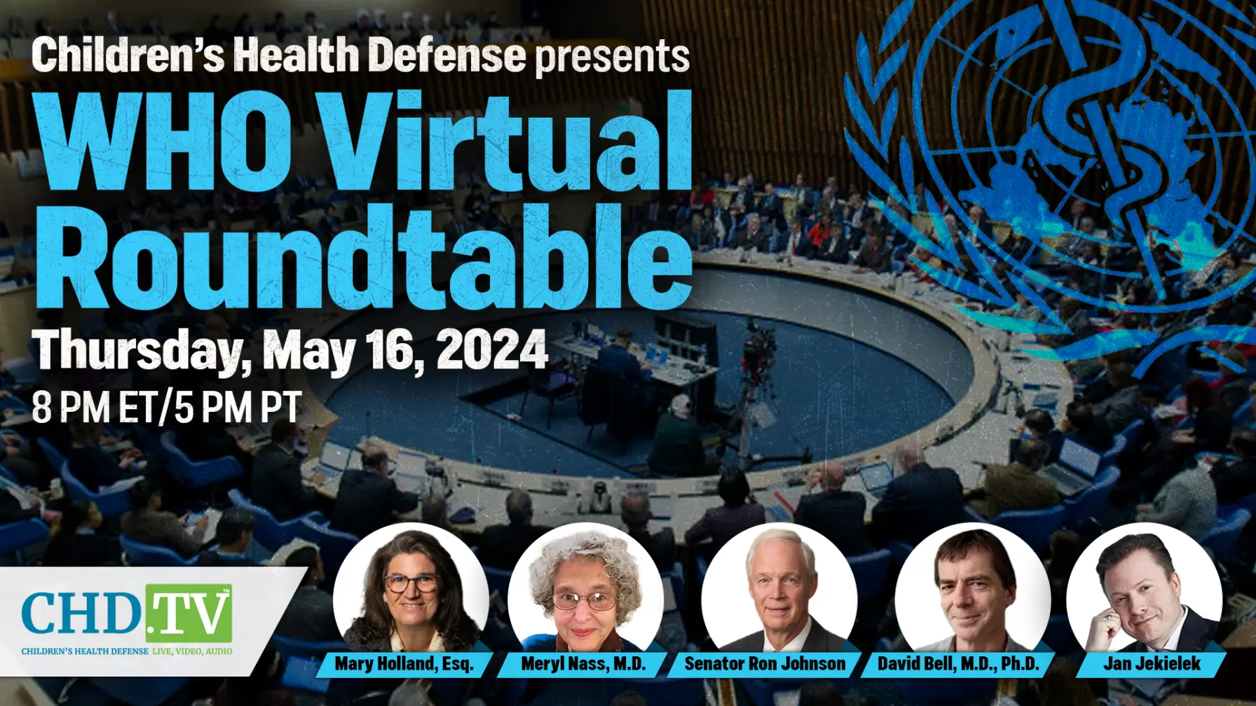 Who Virtual Roundtable