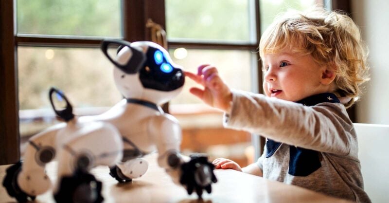 child playing with robot dog toy