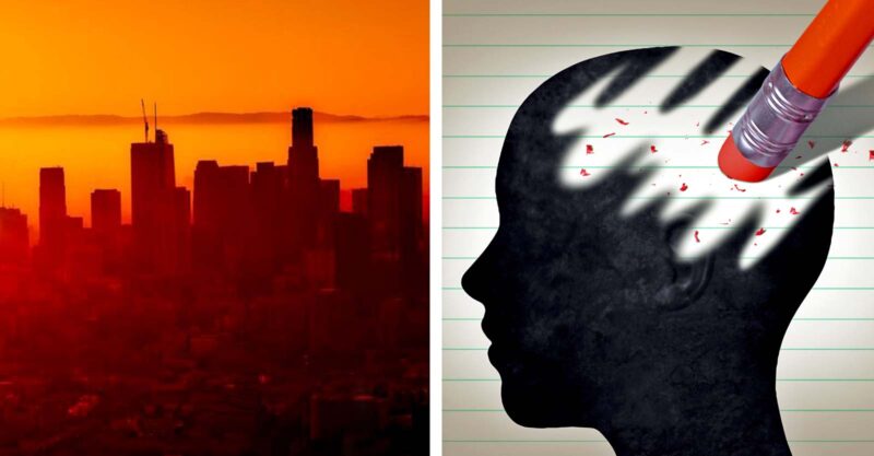air pollution and brain