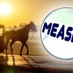 horse and buggy and measles in magnifying glass