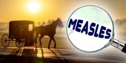 horse and buggy and measles in magnifying glass