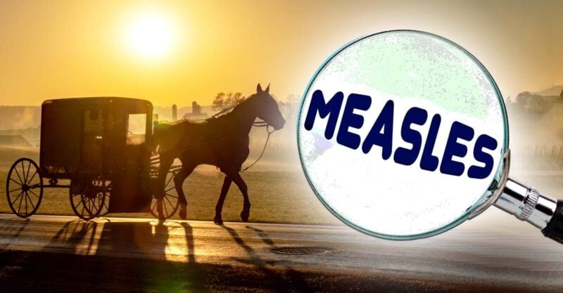 horse and buggy and measles in magnifying glass