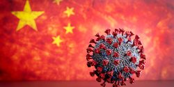 Did the virus that causes COVID-19, emerge from a Wuhan lab or from nature?