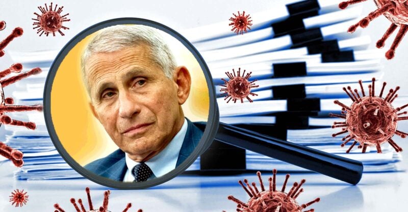 anthony fauci and files