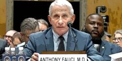 anthony fauci at the hearing