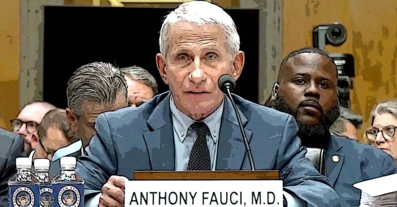 anthony fauci at the hearing