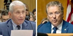anthony fauci and rand paul