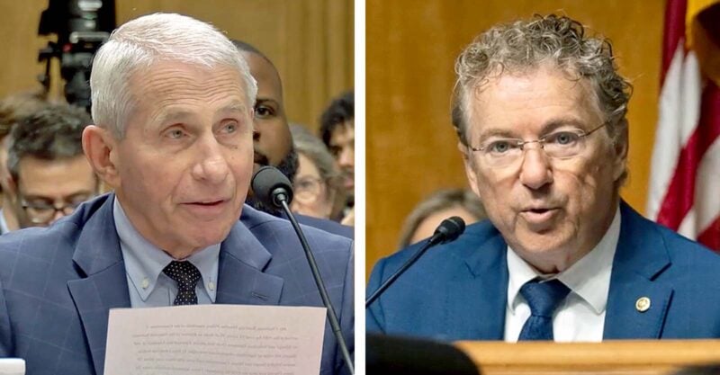 anthony fauci and rand paul