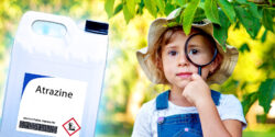 bottle of atrazine and child