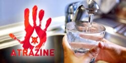 tap water