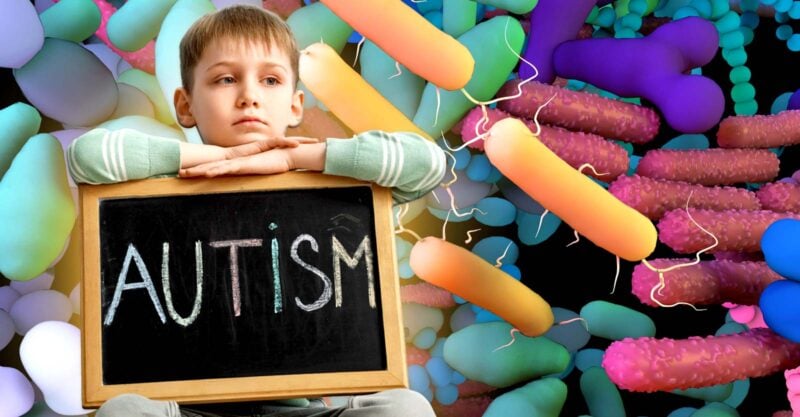 gut microbes and boy holding sign that reads "autism"