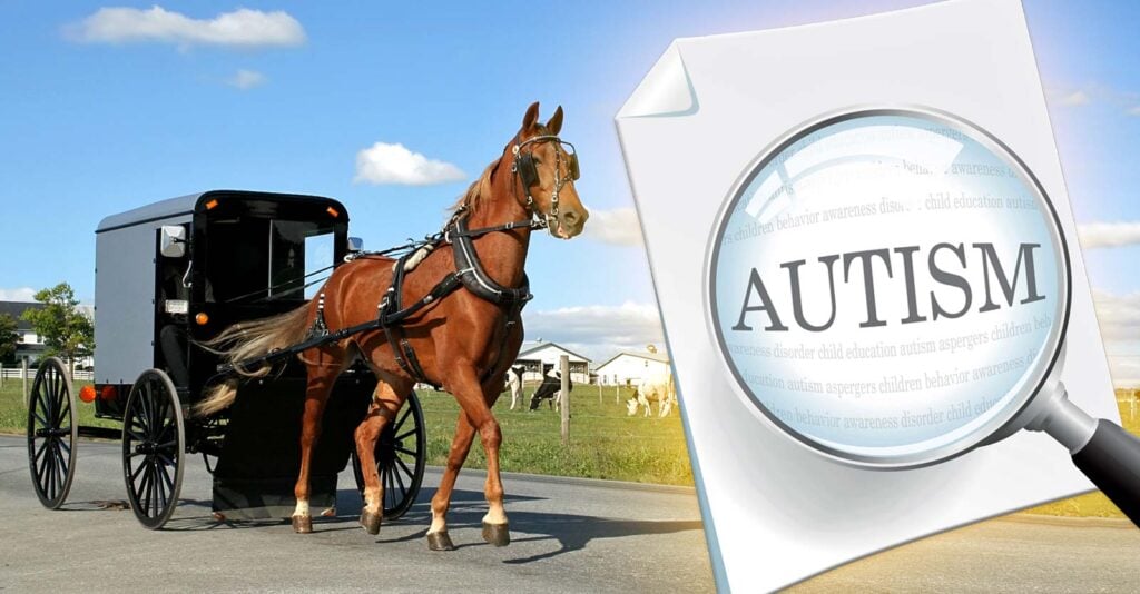 amish buggy and word "autism"