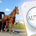amish buggy and word "autism"