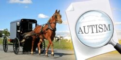 amish buggy and word "autism"