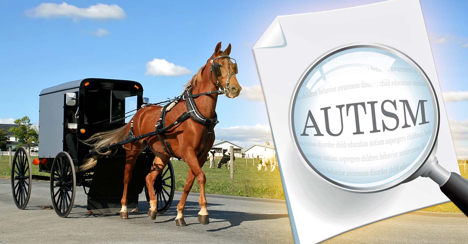 amish buggy and word "autism"
