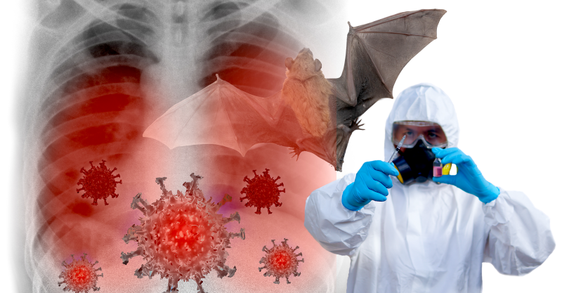 The idea that the COVID virus escaped from a Chinese lab is gaining high-profile attention.