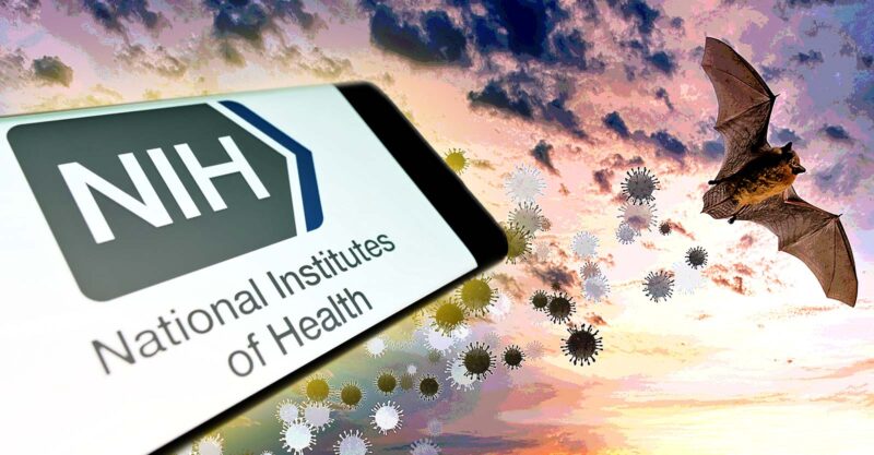 bat and spike proteins and nih logo