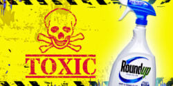 toxic symbol and bottle of roundup