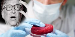 Gates says rich countries should shift entirely to synthetic beef.