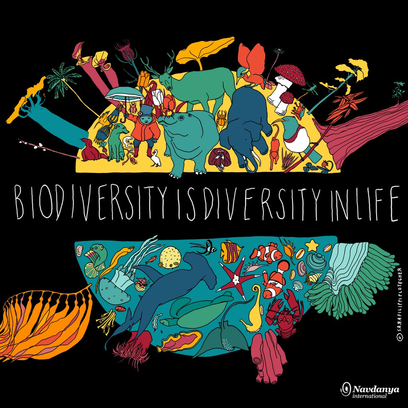 biodiversity life