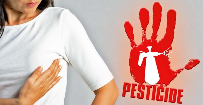 woman checking for lump and pesticide sign