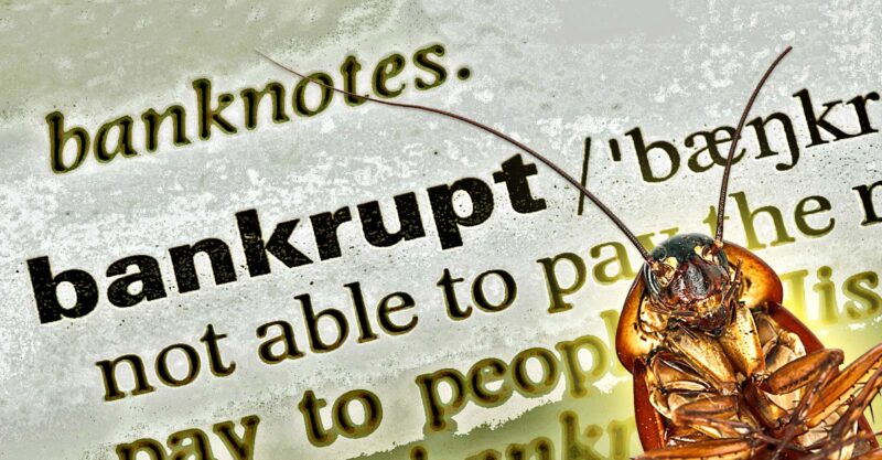 cockroach and word "bankrupt"