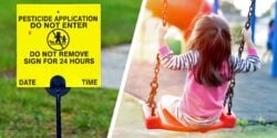 pesticide application lawn sign and young girl on swing at playground