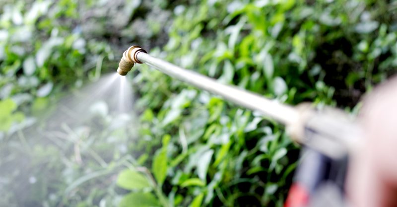 'If you ingest just three drops of paraquat you’re going to die.'