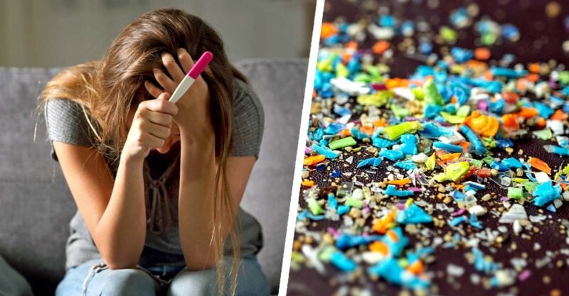 women with negative pregnancy test and microplastics