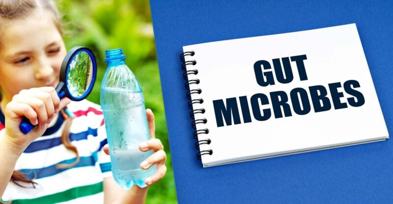 child looking at plastic water bottle and word "gut microbes"