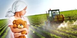 child cancer patient and tractor spraying pesticides