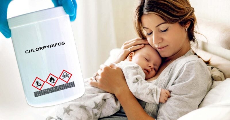 bottle of chlorpyrifos and mom holding baby