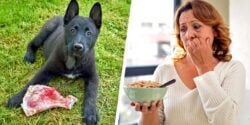 dog with red meat and woman eating cereal