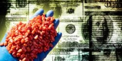 money and glove holding coated seeds