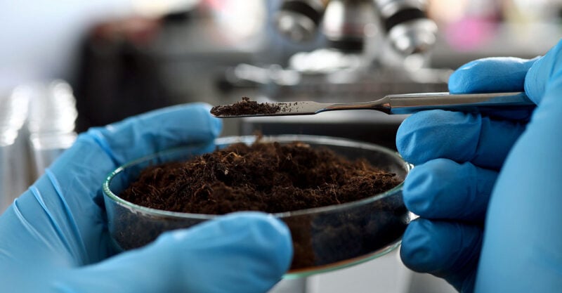 contaminated soil ecosystems urban feature