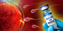 egg and sperm and covid vaccine