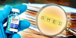 covid vaccine and files with magnifying glass and word "shed"