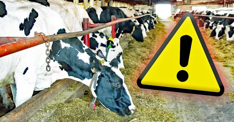dairy farm caution sign