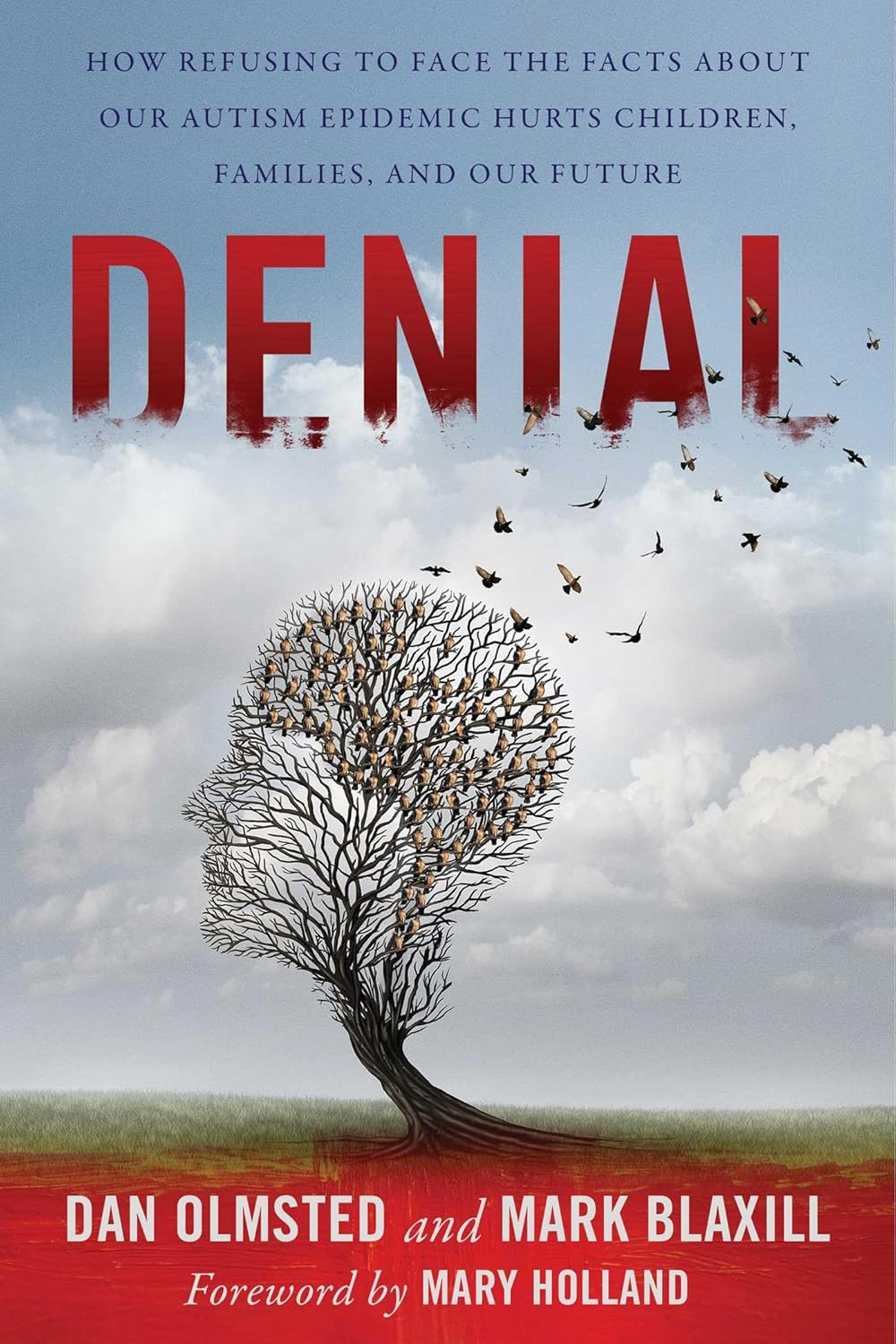 (Book Cover) Denial: How Refusing to Face the Facts about Our Autism Epidemic Hurts Children, Families, and Our Future